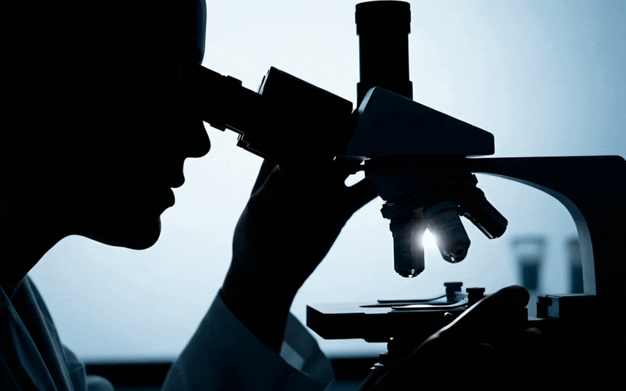 manufacture and install your Confocal Gentaur Unit