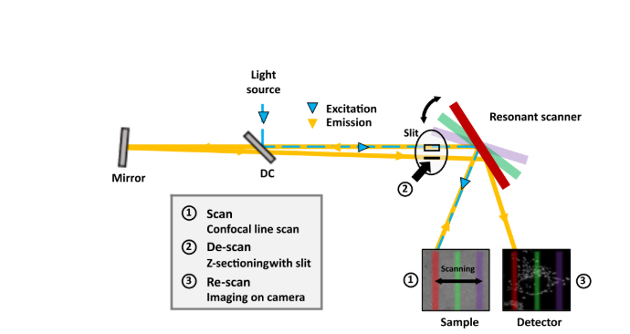 Conceptual Scheme of the Confocal Gentaur Unit (CGU)