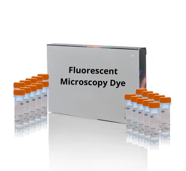 [Fluo-0019] 5-FAM, SE [5-Carboxyfluorescein, succinimidyl ester] - Single isomer - 10 mg