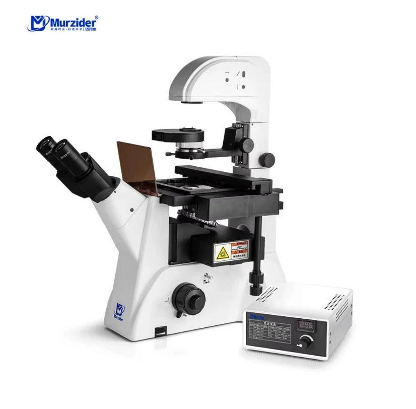 High Intensity Inverted Fluorescence Microscope