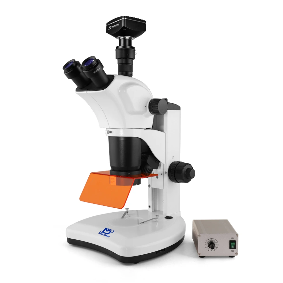 [MSD540+2000W] Type Fluorescence Microscope +1000W Pixels Camera